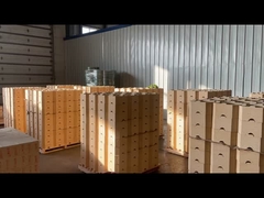 DN14 ladrillo de arcilla de fuego de baja porosidad ladrillo de arcilla 42%-47% Al2o3 ladrillo de fuego de alta temperatura